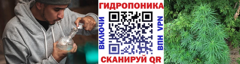 где можно купить Слободской Шишки марихуана THC 21%